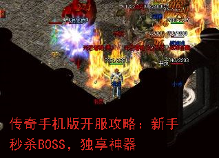 ֻ濪ԣɱBOSS