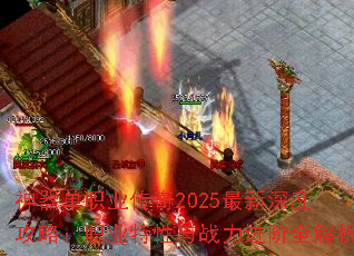 ������ְҵ����2025������ȹ��ԣ�ְҵ������ս������ȫ����