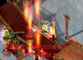 ׷����ְҵ����2025������ȹ��ԣ������Ϊ�۷�ս���Ľ��׷���