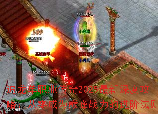 ׷����ְҵ����2025������ȹ��ԣ������Ϊ�۷�ս���Ľ��׷���