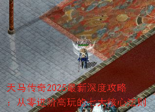��������2025������ȹ��ԣ�������׸�����ߴ���ķ���
