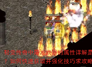 ��䴫�����������������������ʲô����ο��ٻ�ȡ��ǿ���������ԣ�