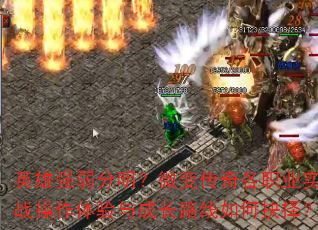 Ӣ��ǿ��������΢�䴫���ְҵʵս����������ɳ�·����ξ���