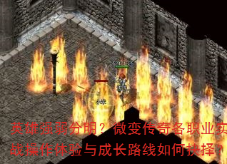 Ӣ��ǿ��������΢�䴫���ְҵʵս����������ɳ�·����ξ���