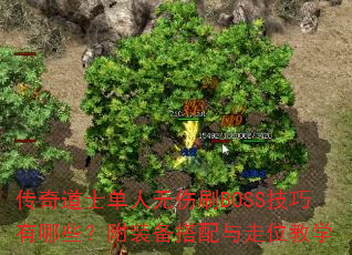 �����ʿ��������ˢBOSS��������Щ����װ����������λ��ѧ