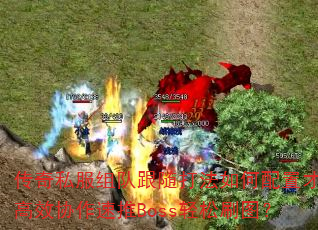 ����˽����Ӹ����������ò��ܸ�ЧЭ������Boss����ˢͼ��
