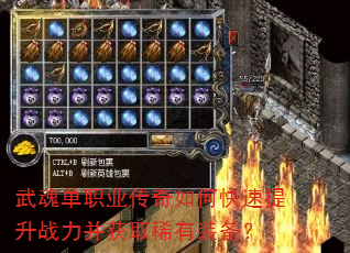 ��굥ְҵ������ο�������ս������ȡϡ��װ����