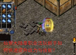 ���½��ְҵ����������ο�������ս���뼼�ܣ�