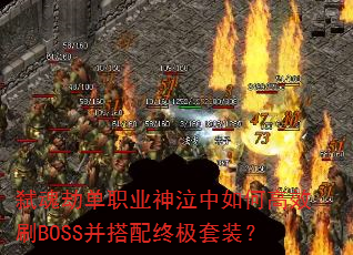 ߱��ٵ�ְҵ��������θ�ЧˢBOSS�������ռ���װ��